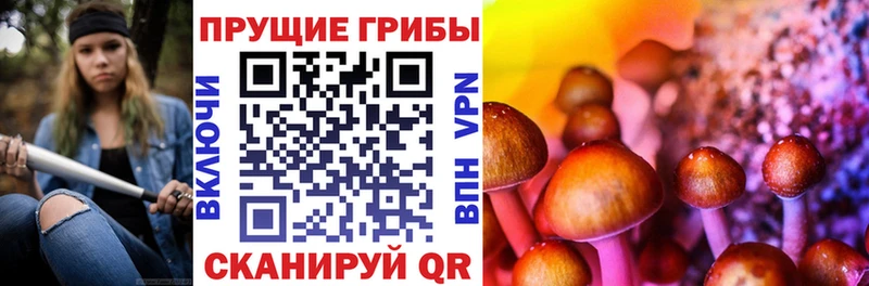 Псилоцибиновые грибы мухоморы  кракен   Большой Камень  нарко площадка клад  купить  